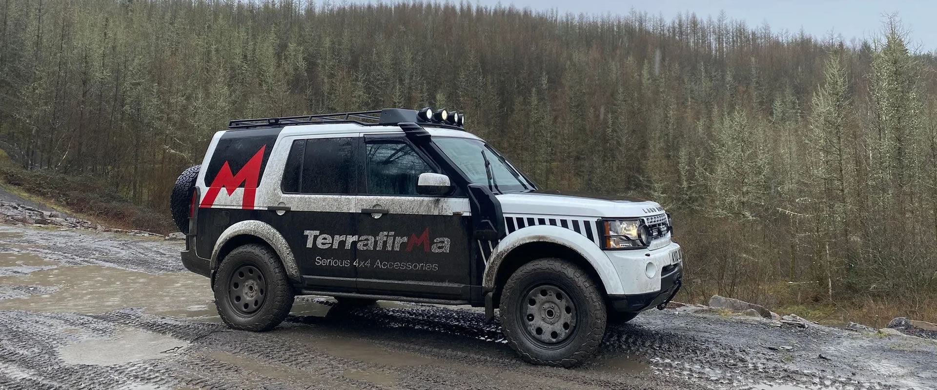 Terrafirma