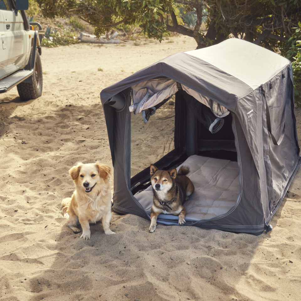 Dometic K9 80 AIR image 2
