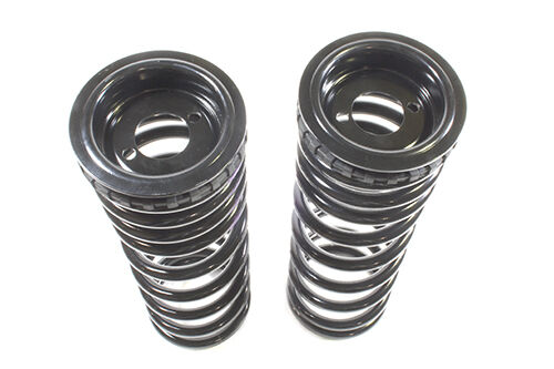 TF225 - Standard ride height rear air to coil conversion kit Discovery 2 image 0