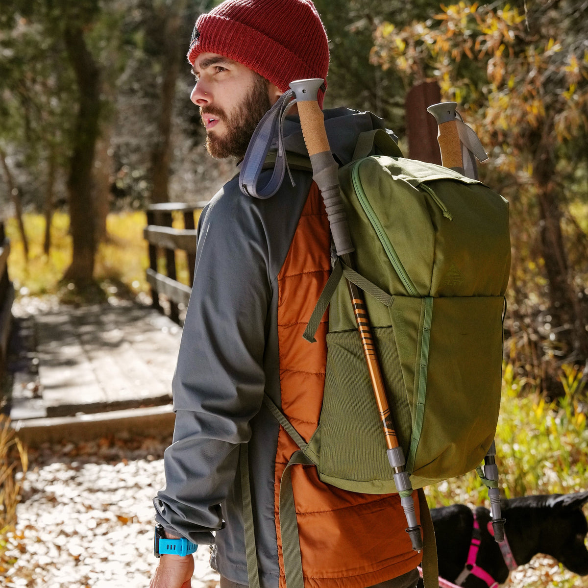 Kelty Asher 24L Rucksack - Winter Moss